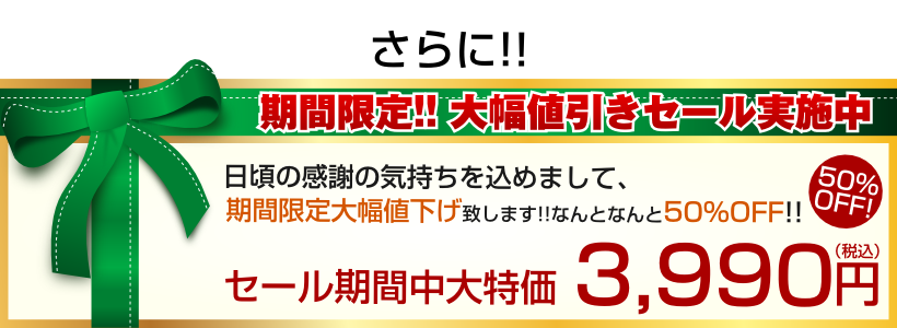 期間限定大特価